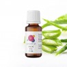 Aloe Fragrance Oil