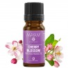 Cherry Blossom Natural Fragrance Oil 10 ml