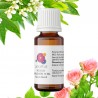 Rose & Neroli Fragrance Oil