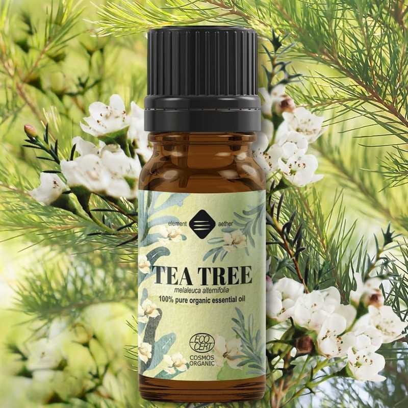 Tea Tree Essential Oil Organic 10 ml