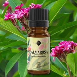 Palmarozės eterinis aliejus, ekologiškas, 10 ml