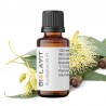 Eucalyptus Essential Oil 30 ml