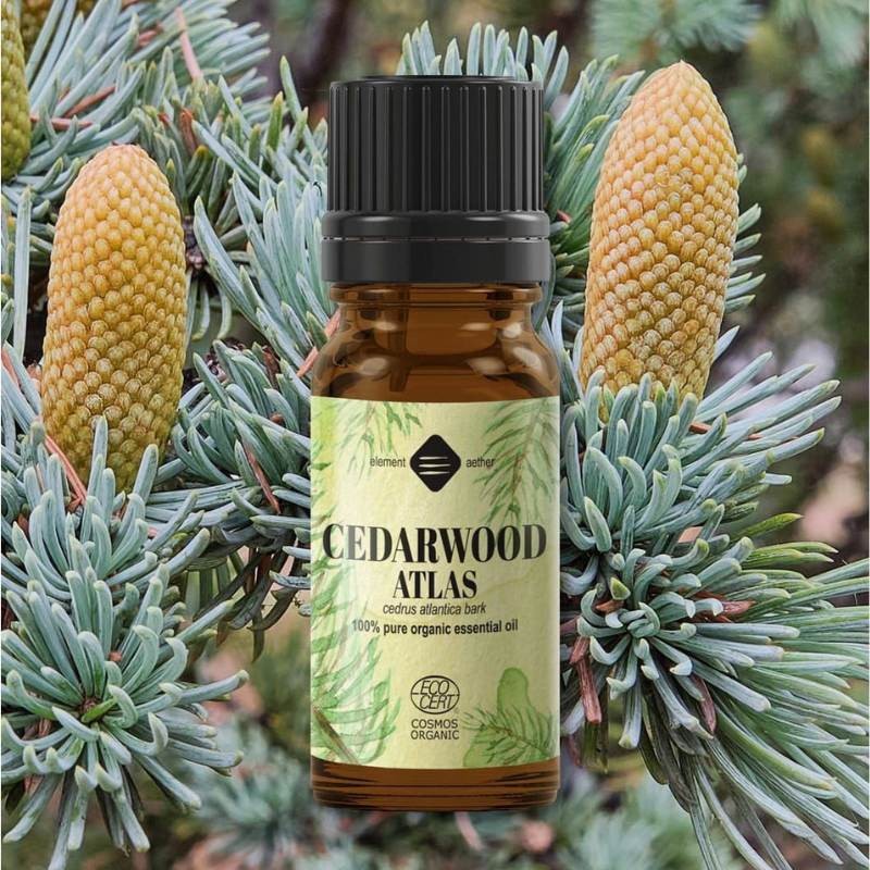 Cedarwood Atlas Essential Oil, Organic 10 ml