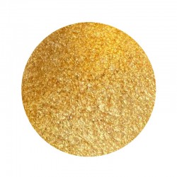 Glitter Mica Light Gold