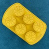 Citrus Silicone Mould