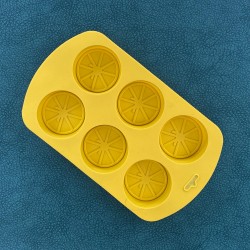 Citrus Silicone Mould