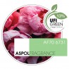 Peony Queen Fragrance Oil