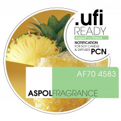 Pineapple Fizz aroomiõli
