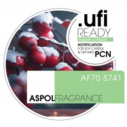 Winter Cranberry aroomiõli