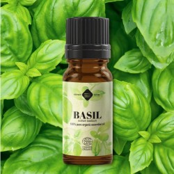 Organic Basil Essential Oil 10 ml