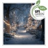Christmas Forest Fragrance Oil