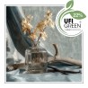 Vanilla Pepper Fragrance Oil