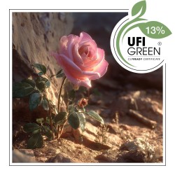 Z'ara Rose Fragrance Oil