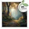 Cashmere Woods Fragrance Oil