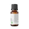 Gracefruit Fresh Birch kvapusis aliejus
